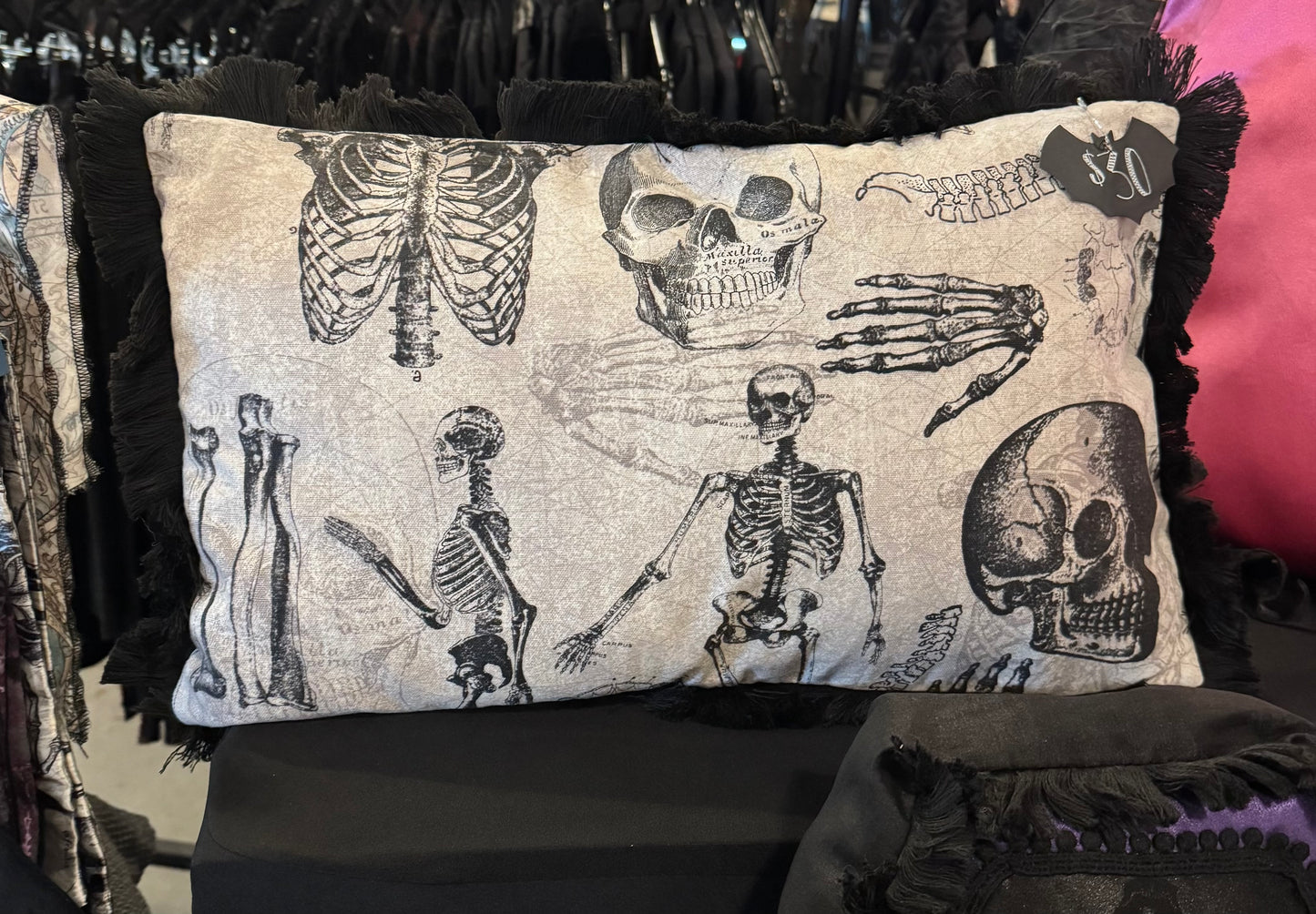 Human Anatomy lumbar pillow
